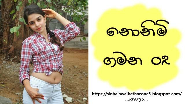 Nonimi Gamana | නොනිමි ගමන 02